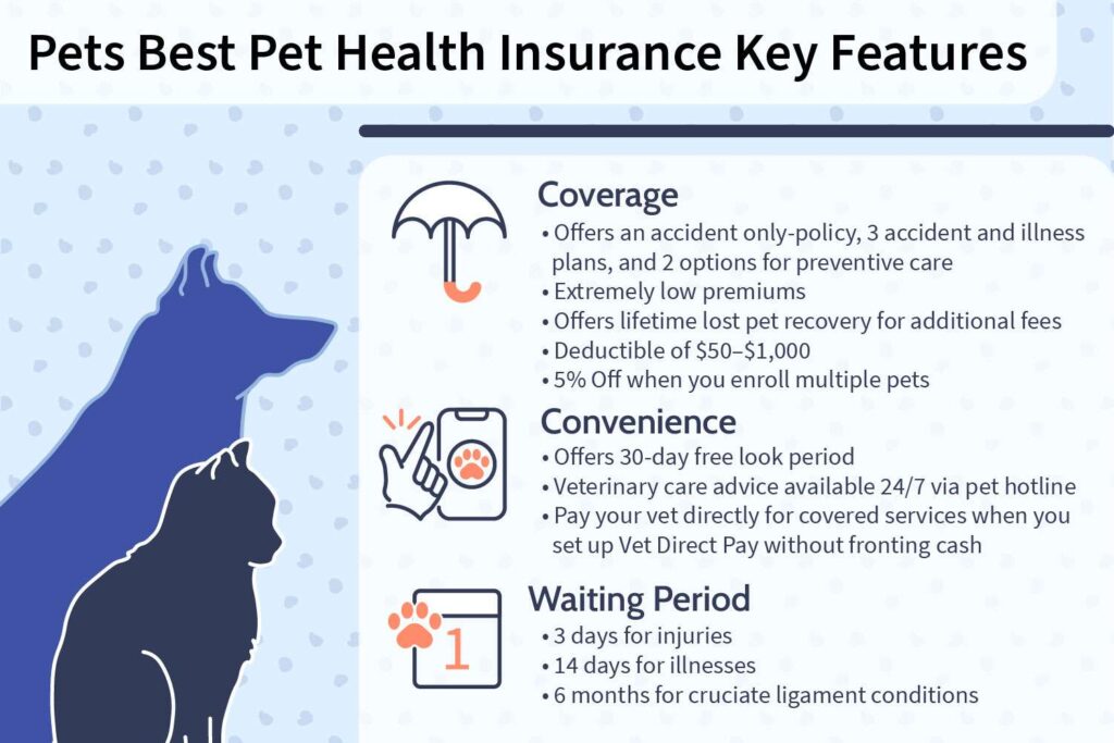 Pet Insurance Policies